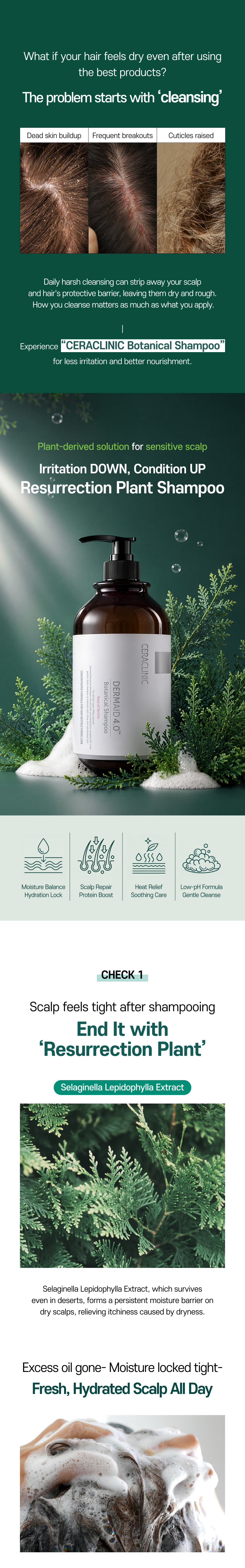 Dermaid 4.0 Botanical Shampoo detail image