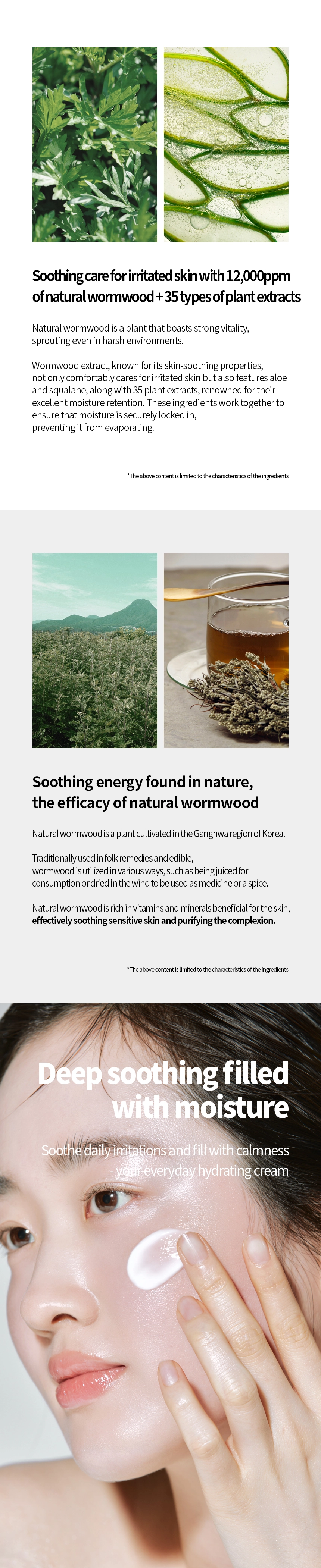 FRAIJOUR] Original Herb Wormwood Calming Watery Cream 100ml : EVAS