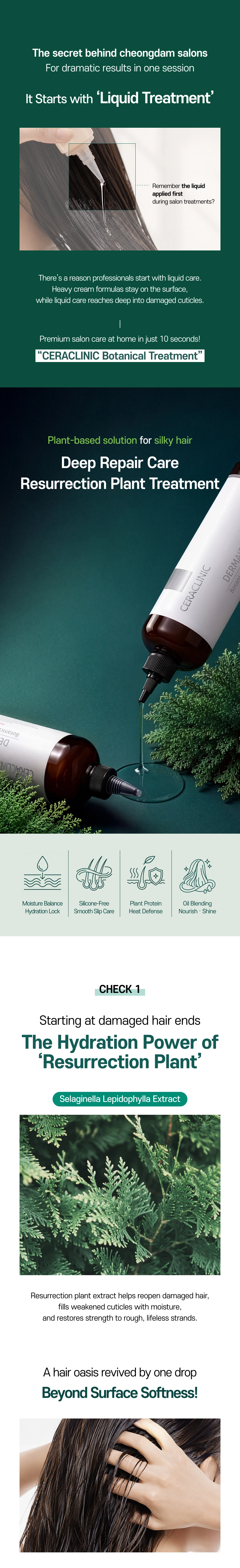 Dermaid 4.0 Botanical Treatment Fluid detail image