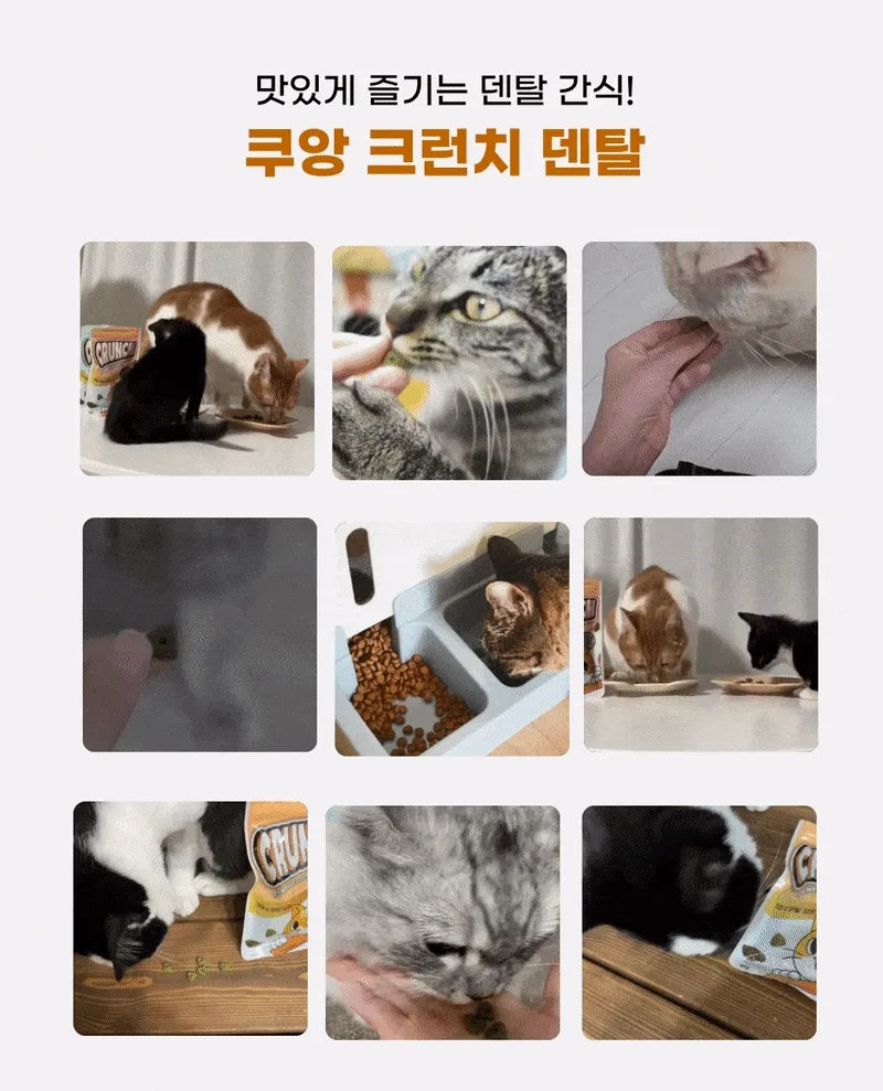 7ddbcd8f14ef3.gif?w=1920