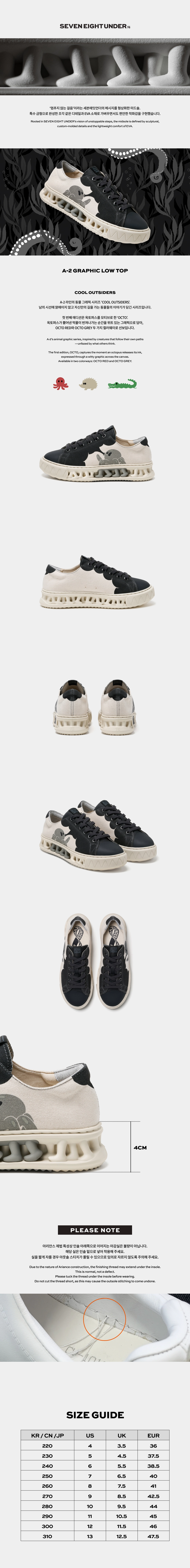A-2 GRAPHIC LOW TOP_OCTO GREY