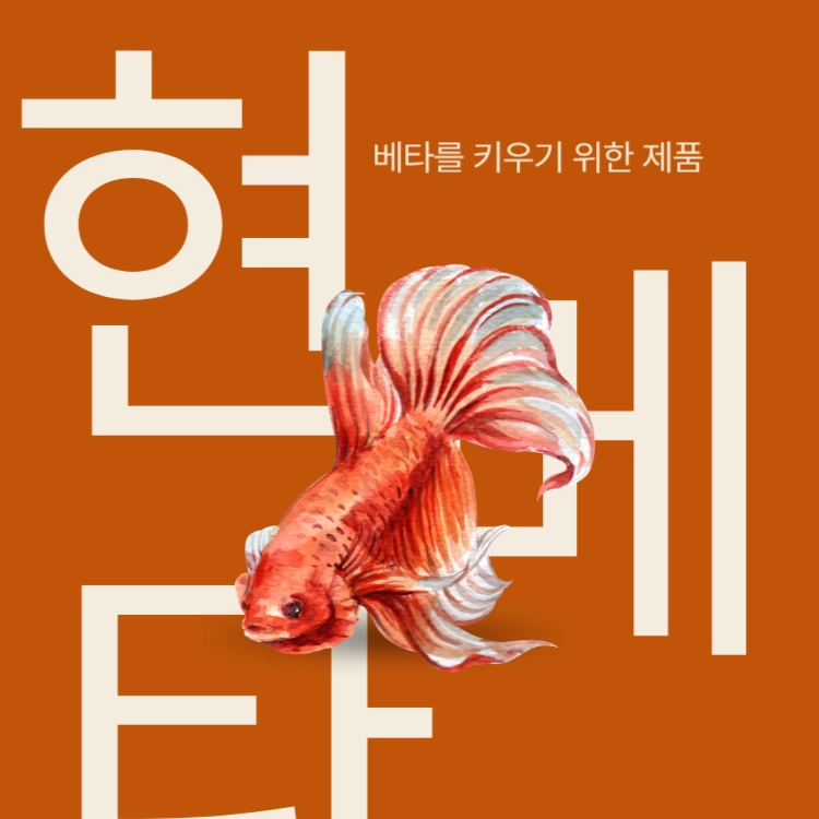 기획전 이미지