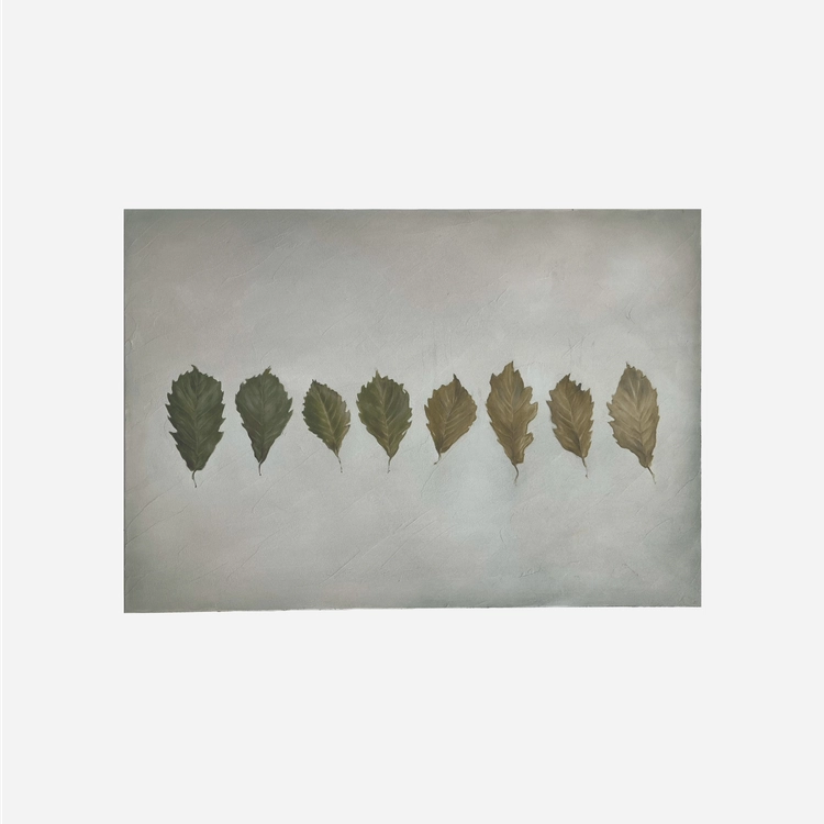 Collection image
