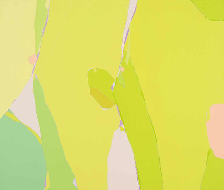 Collection image