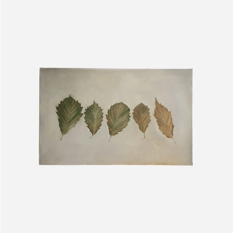 Collection image