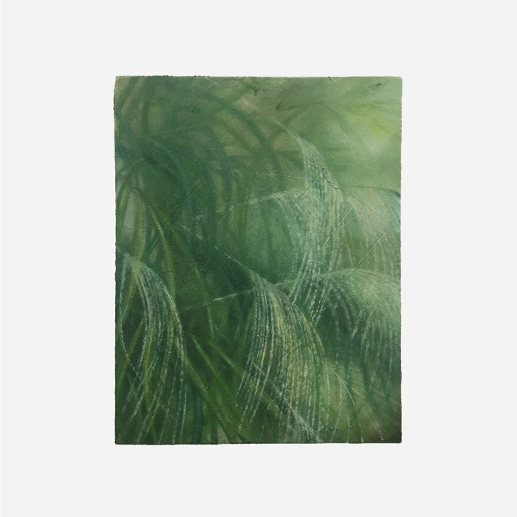 Collection image