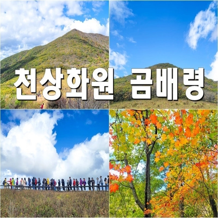 기획전 이미지