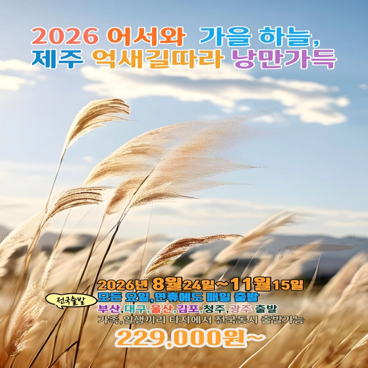 기획전 이미지