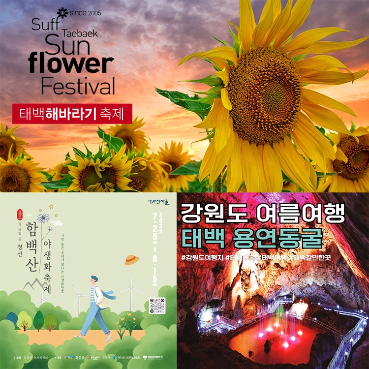 기획전 이미지