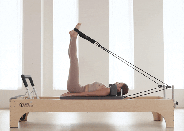 モダンリフォーマー : intopilates