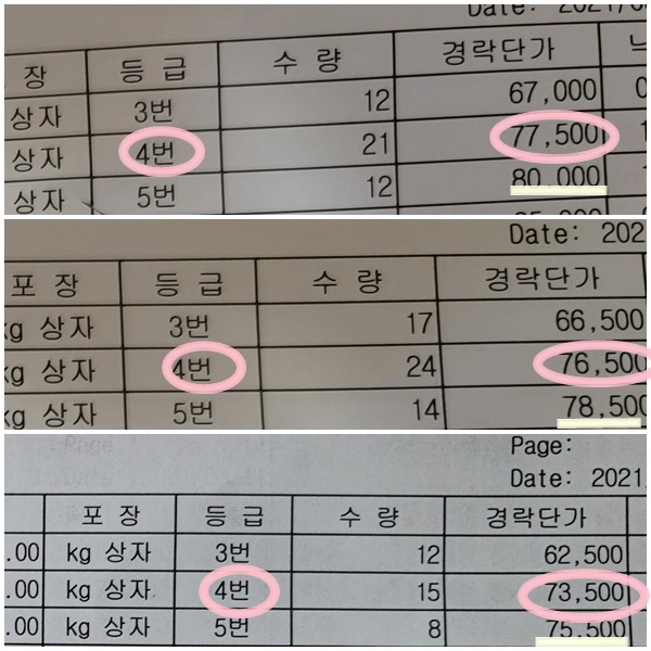 기획전 이미지