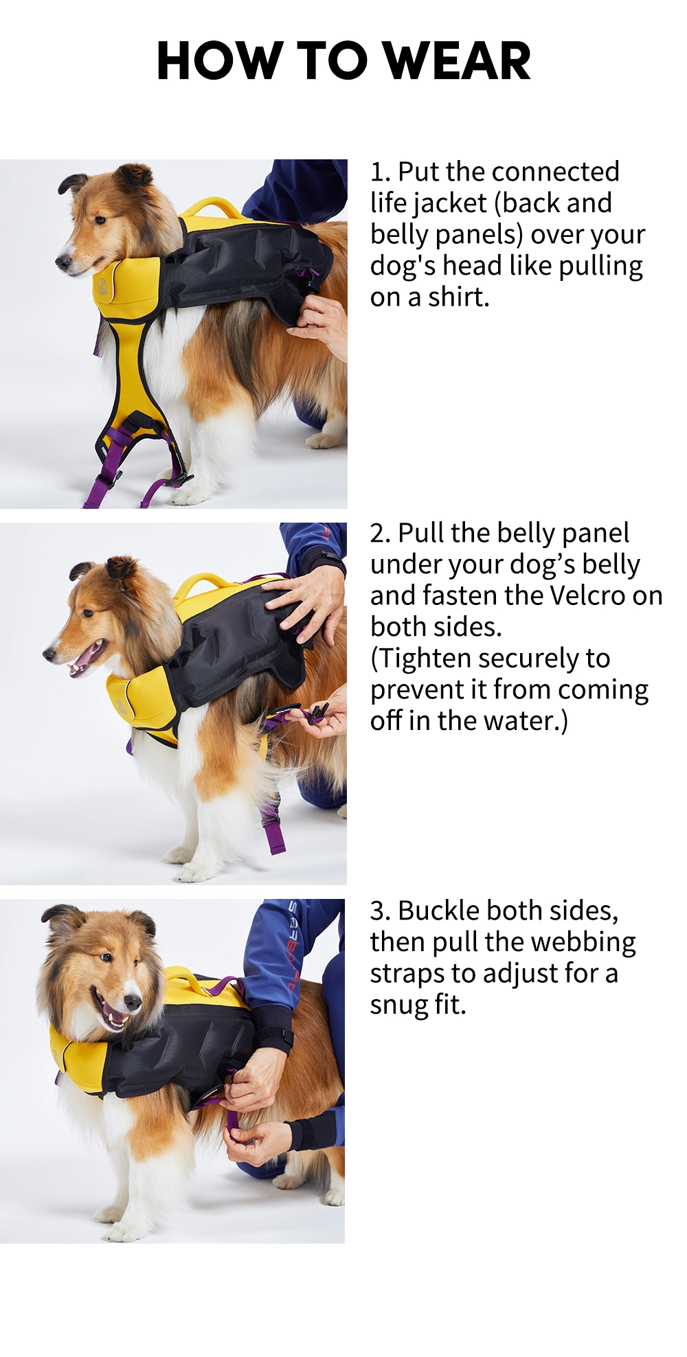 Inflatable Dog Wetsuit MangroveGreen : TAILHIGH