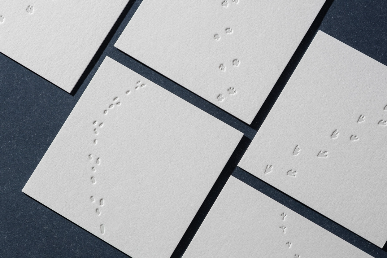 소금까치, image size:1250x833