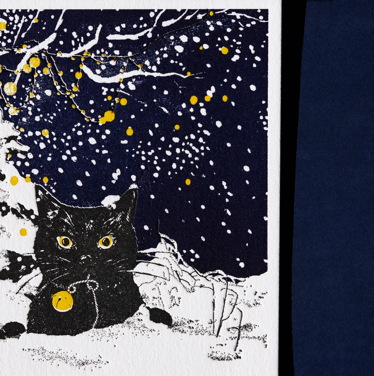 소금까치, image size:1250x1255