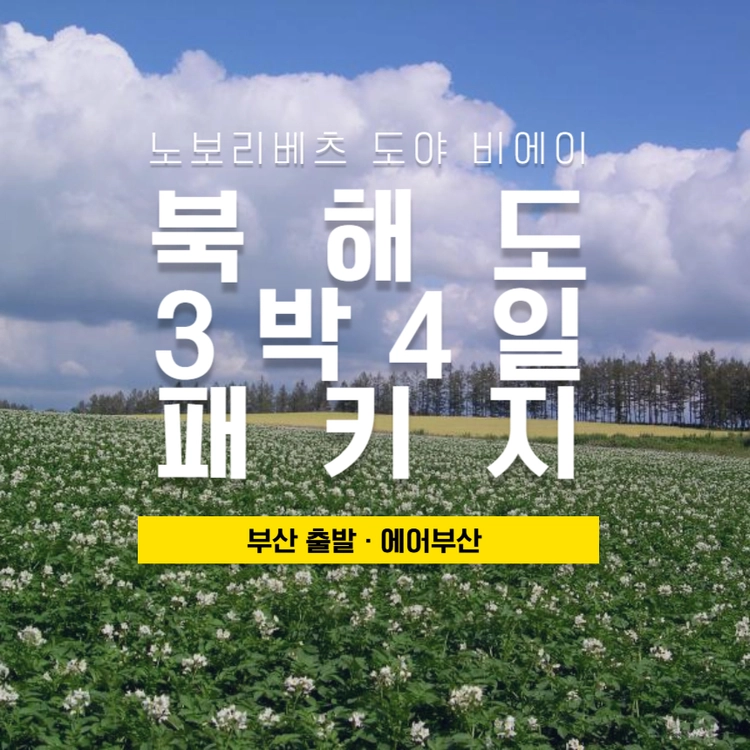 기획전 이미지