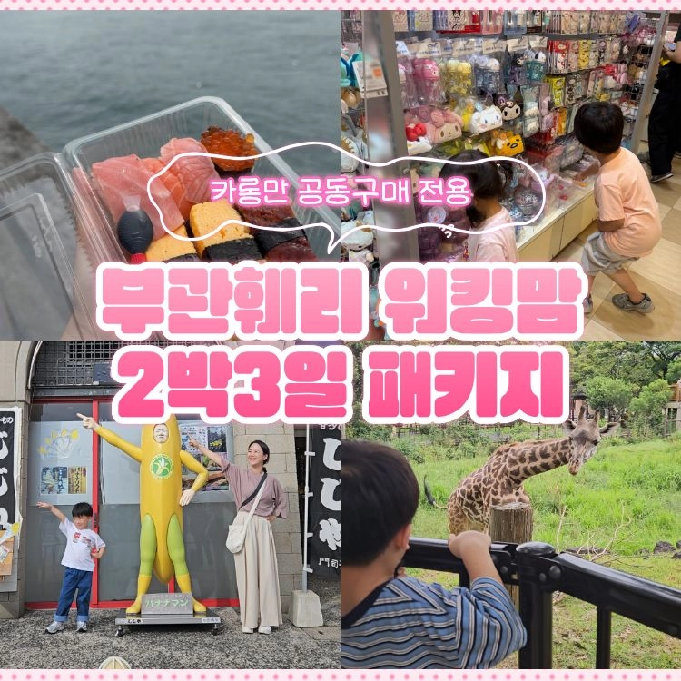 기획전 이미지