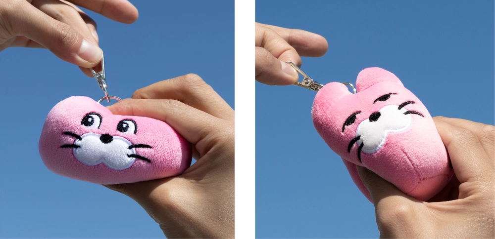 小物 DAURIKU Who're you? Soap Key Ring RIIZE 2025 WE LITTLE Plush Doll Key Ring 10cm Member