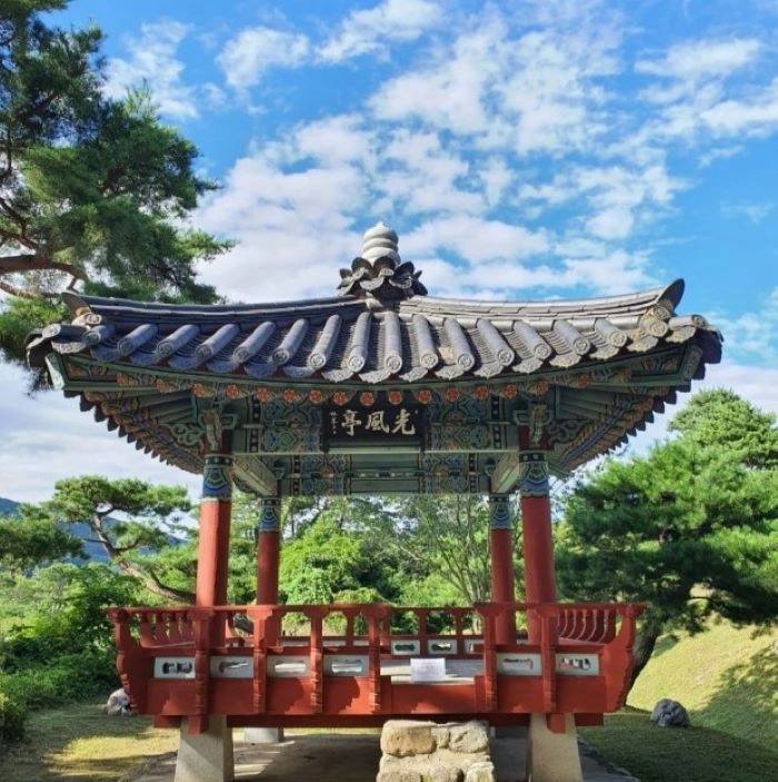 Collection image
