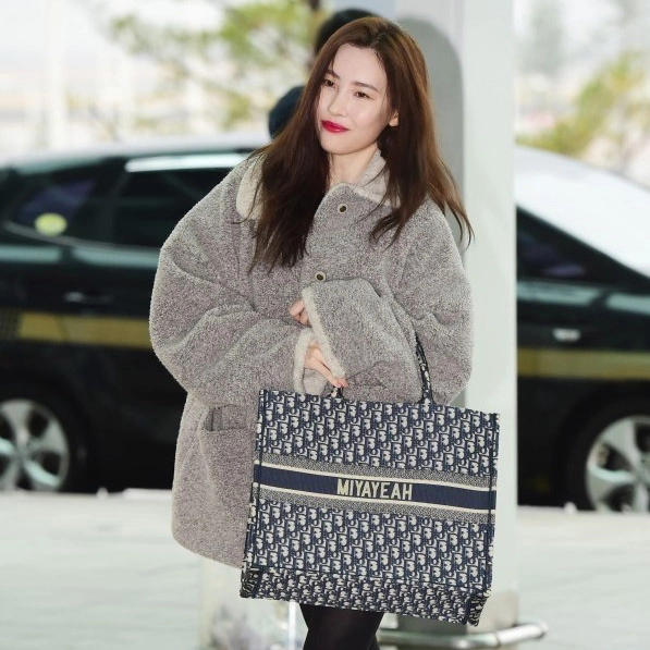 디올 오블리크 스몰 북 도트백  | 레플리카 사이트-엑스피어
