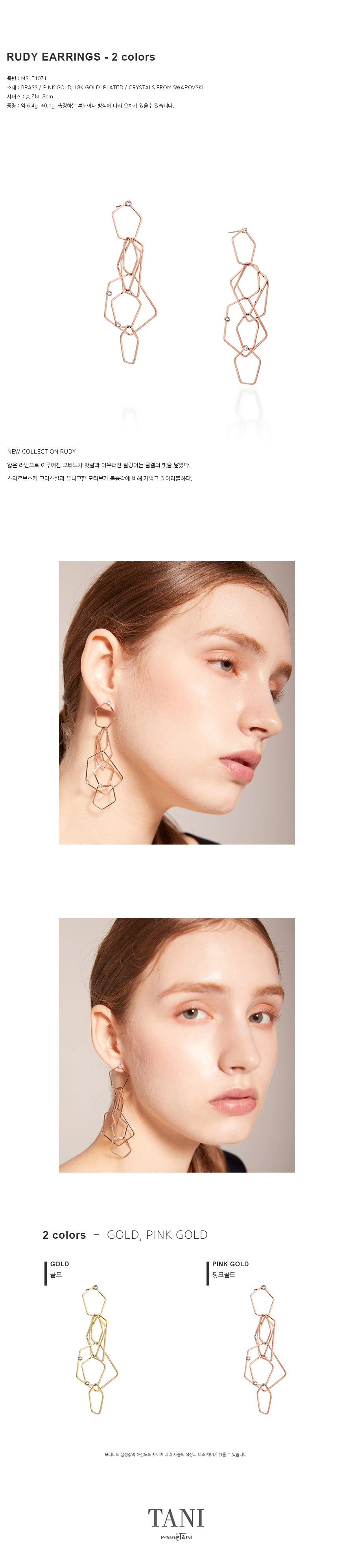 TANI by MINETANI] 韓国☆Rudy Double Line Earrings 全2色