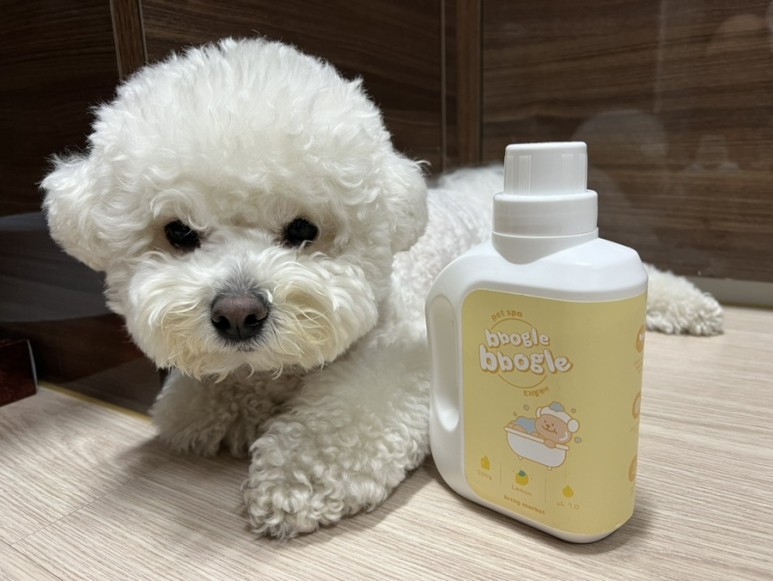상품 이미지