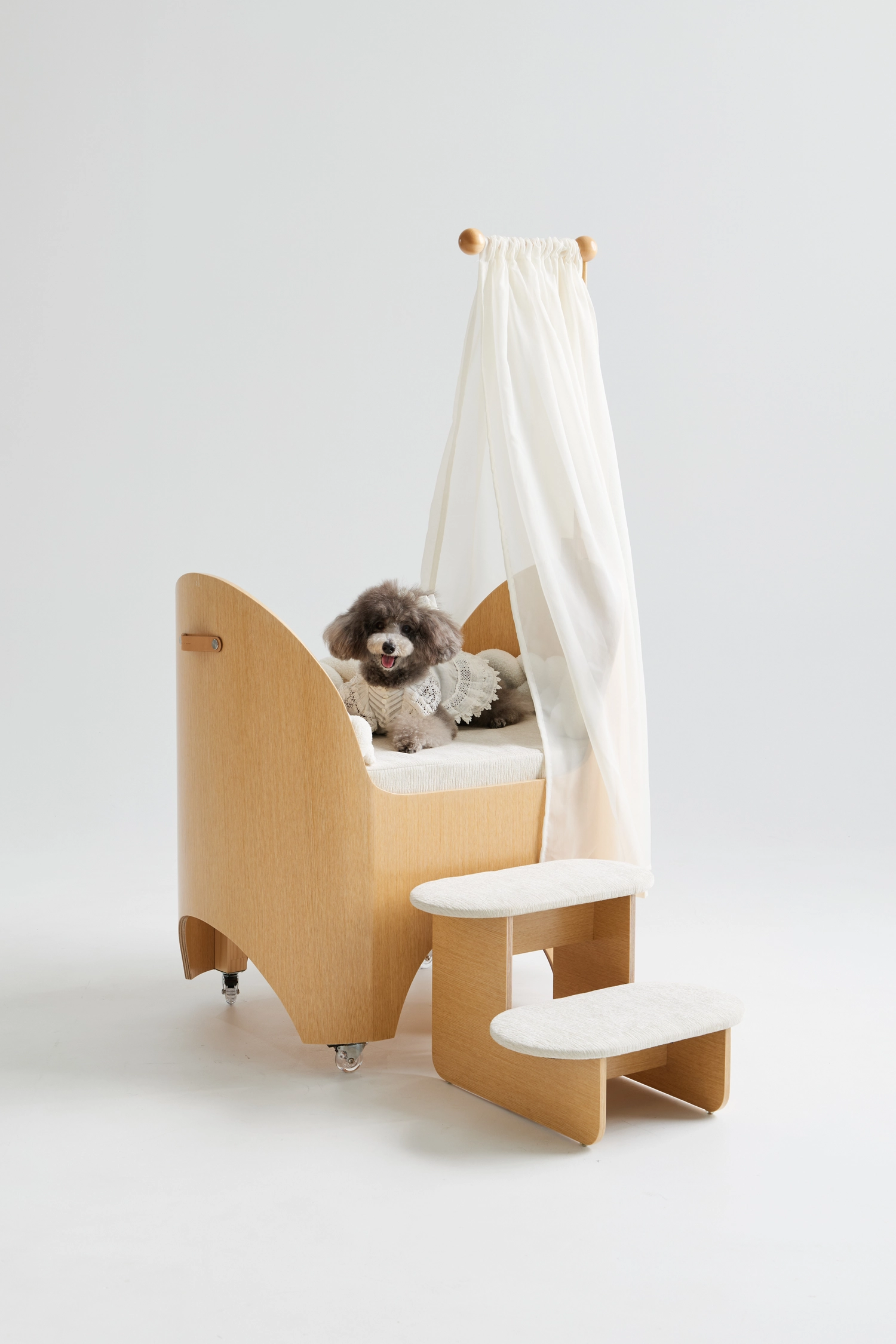 보호자 침대 곁에 놓인 BOA bed