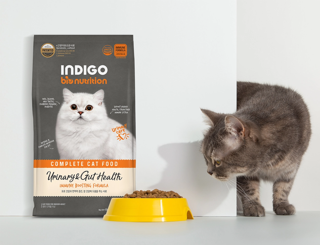 Indigo Bionutrition Urinary Gut Health for Cat Indigo Paw