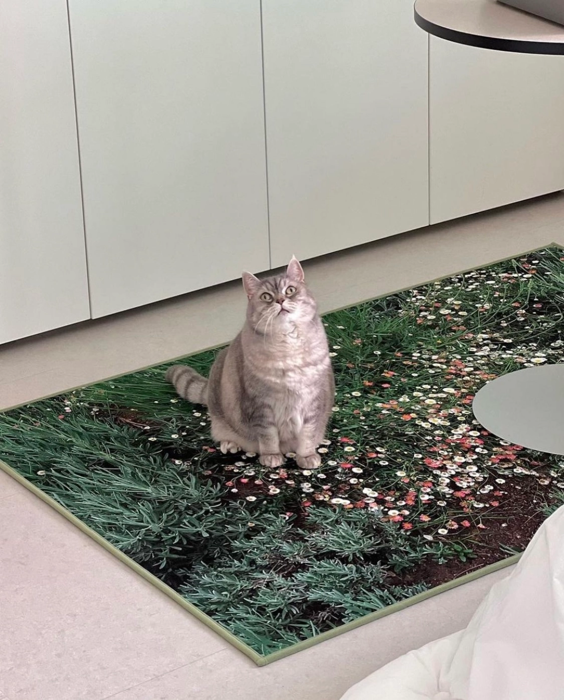 Flower garden, landscape rug