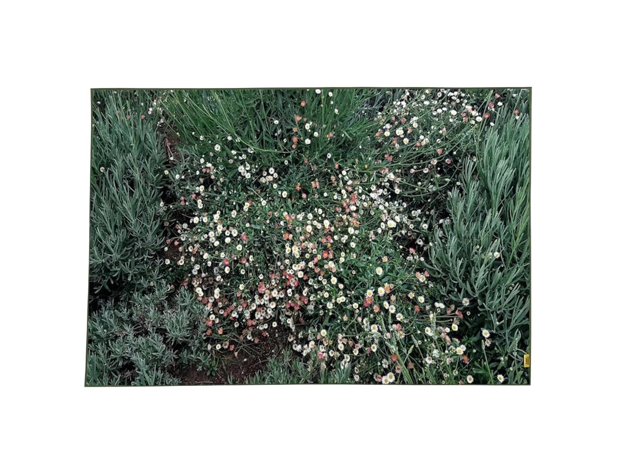 2 set] rug + foot mat : pluffy archive | 플러피 아카이브