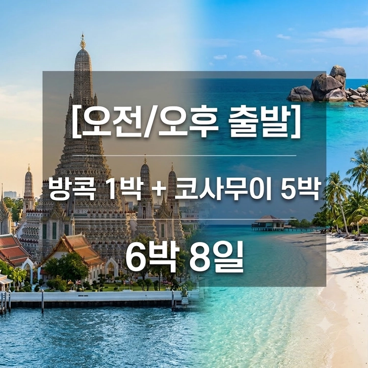 기획전 이미지