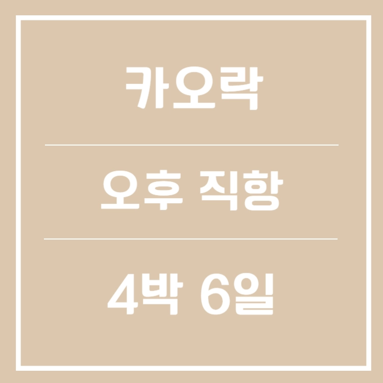 기획전 이미지