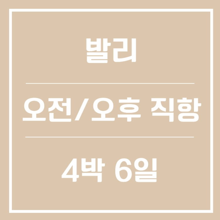기획전 이미지
