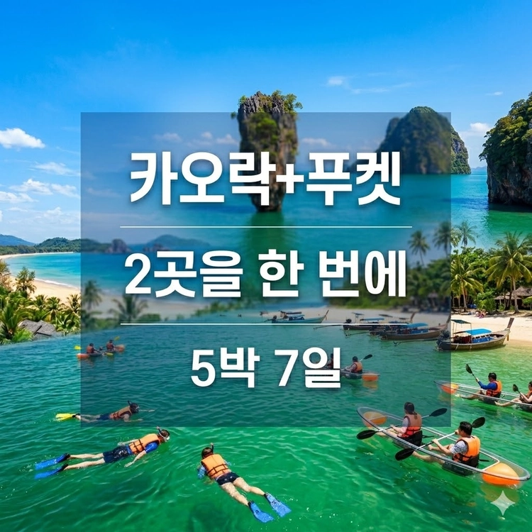기획전 이미지