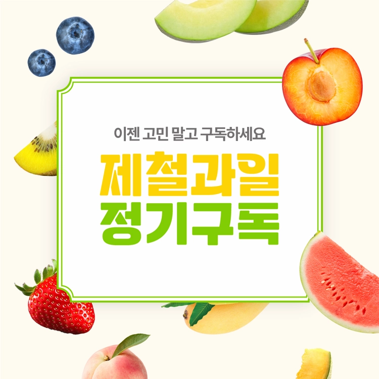 기획전 이미지