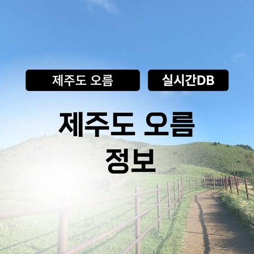 기획전 이미지