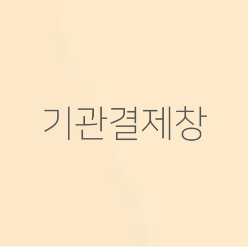 기획전 이미지
