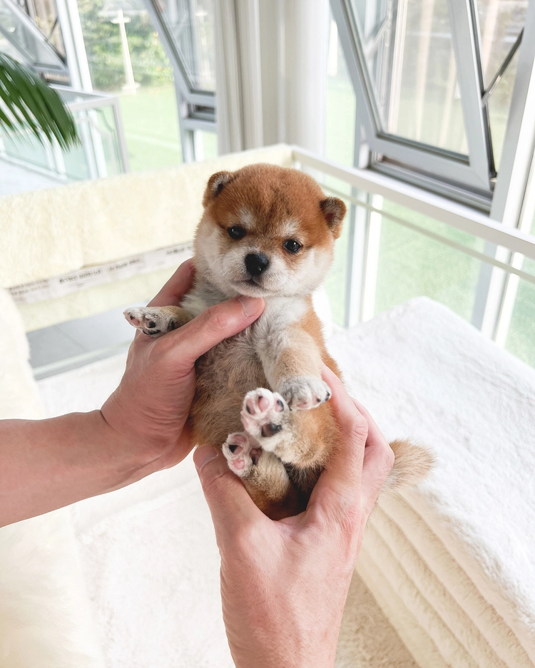 상품 이미지