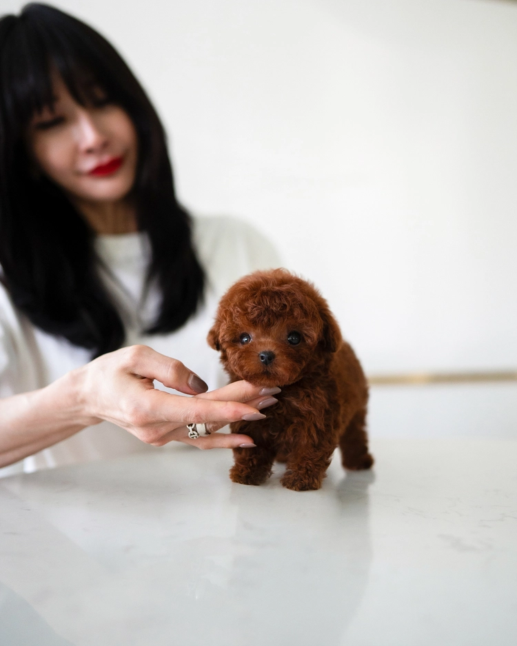 상품 이미지