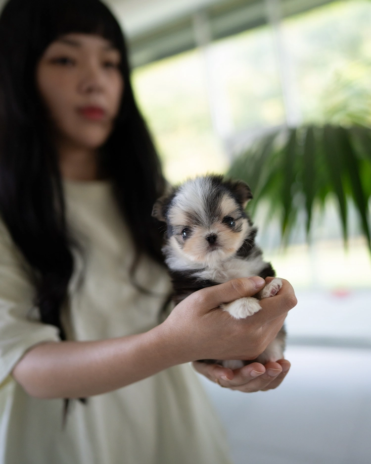 상품 이미지