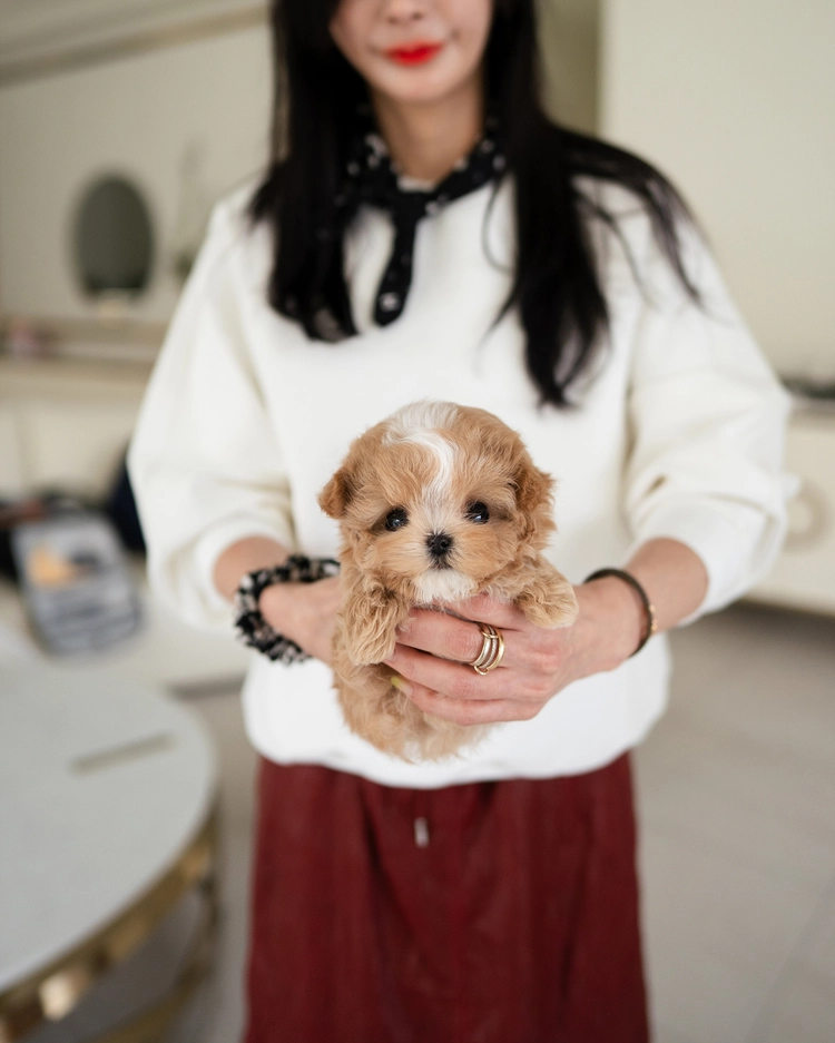 상품 이미지