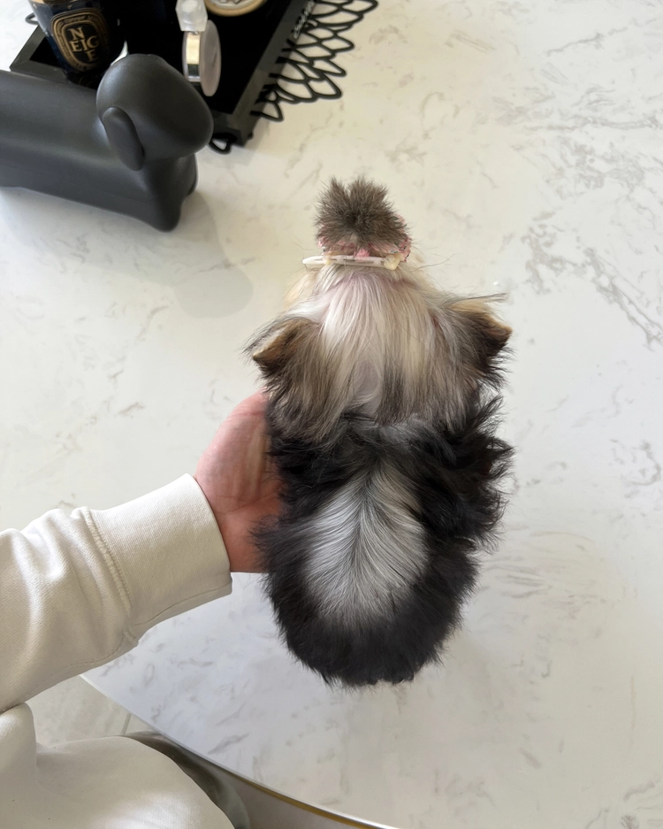 상품 이미지