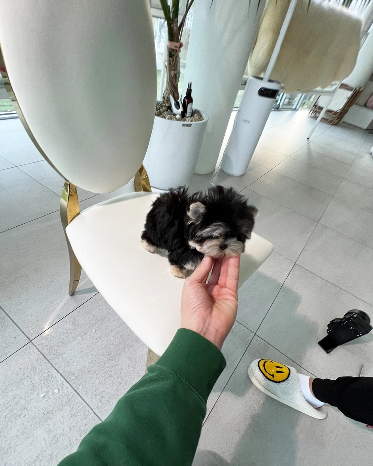 상품 이미지