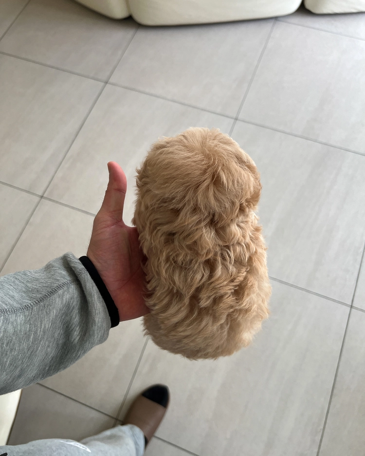 상품 이미지