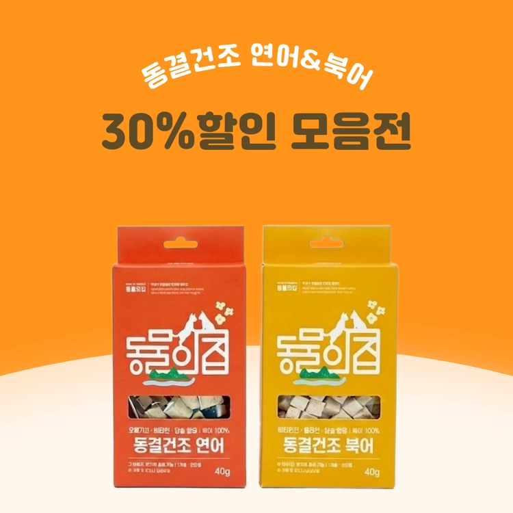 기획전 이미지