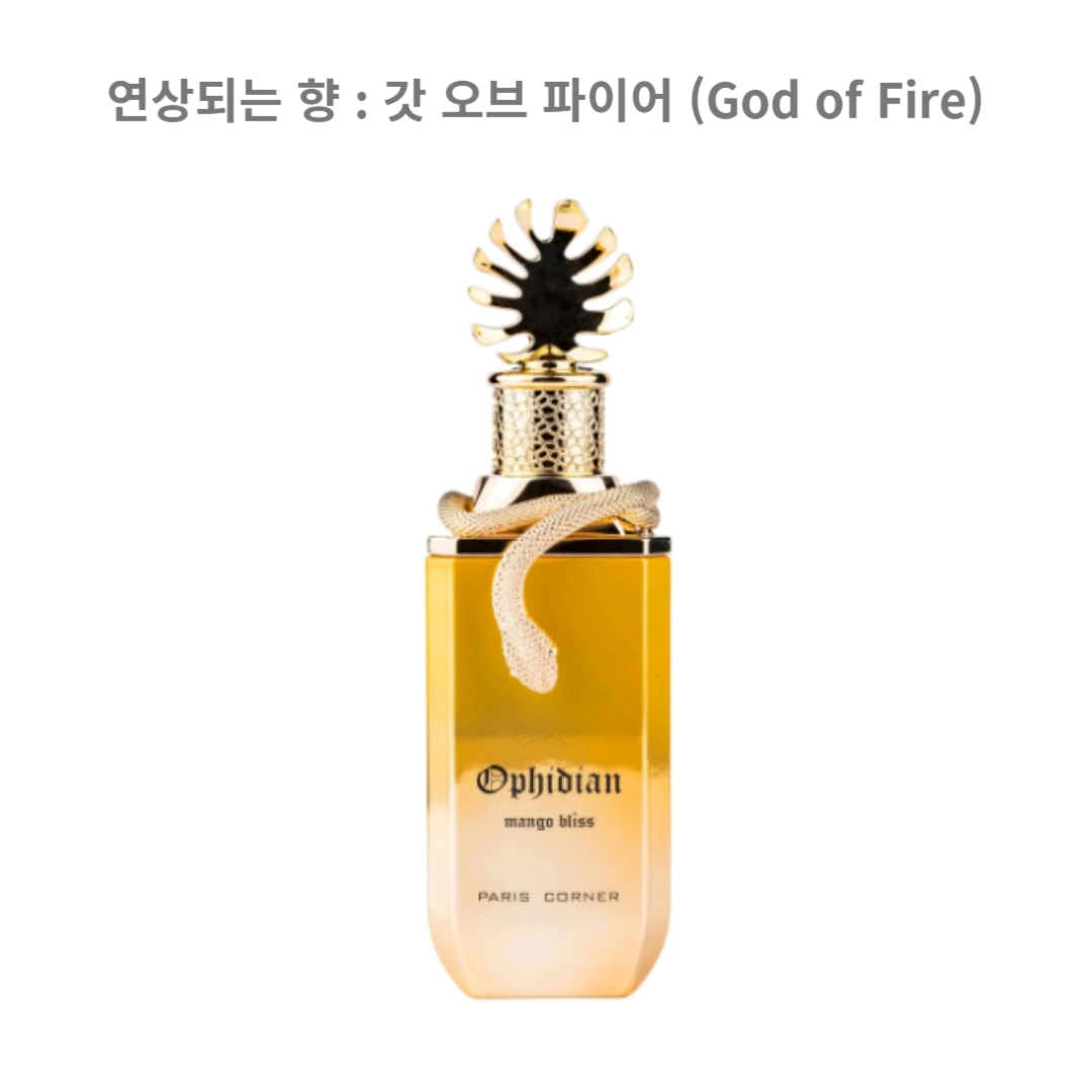 파리코너 오피디안 망고 블리스 100ML 스테판 움베르 루카 갓 오브