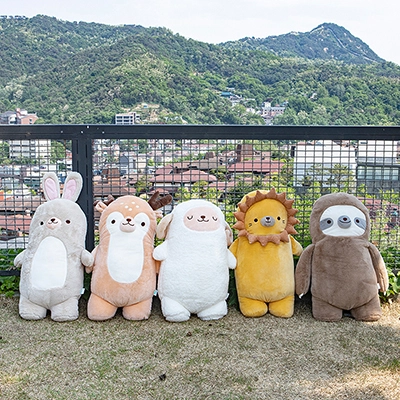 기획전 이미지