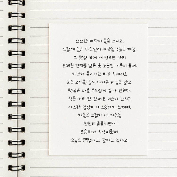 상품 이미지