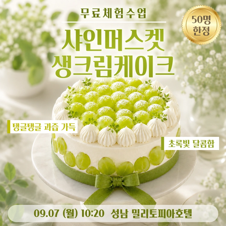 기획전 이미지