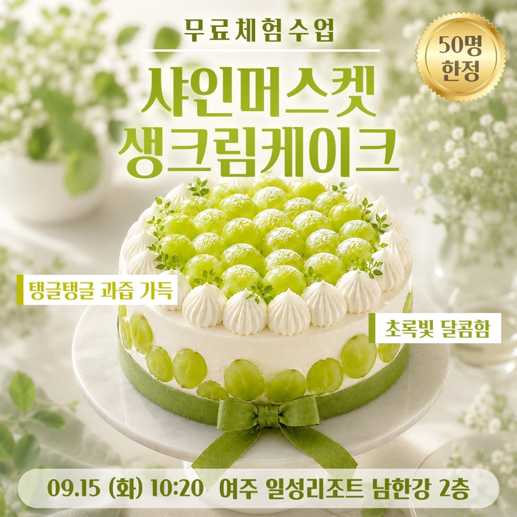 기획전 이미지