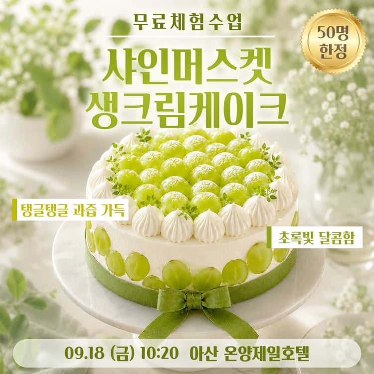 기획전 이미지